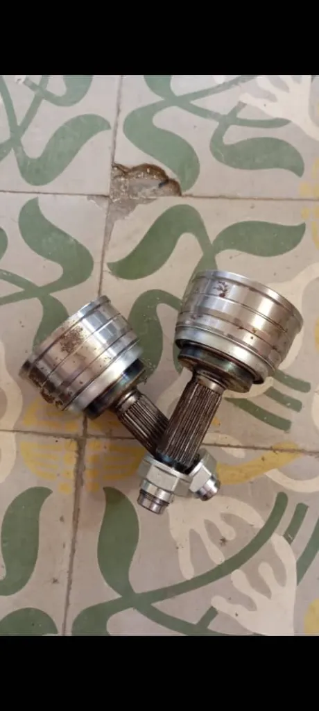 WhatsApp Image 2026-03-10 at 1.31.17 PM.webp