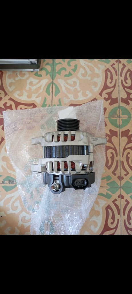 Alternador Genuino del 19 (DE USO)