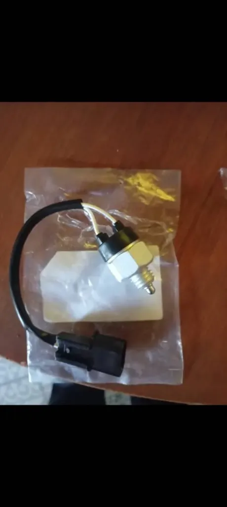 Pulmón de marcha atrás