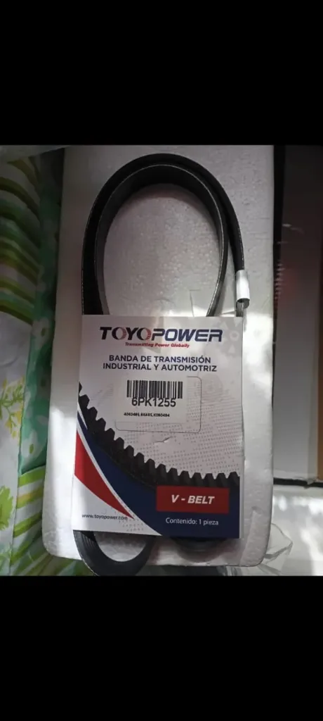 Correa de Accent Generica